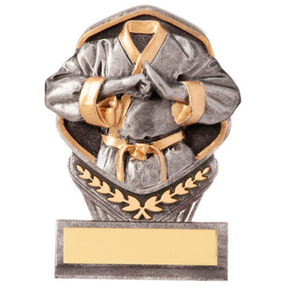 martial arts trophy