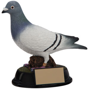 pigeon trophy