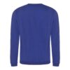 royal blue sweatshirt back
