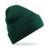 Cuffed Beanie bottle green