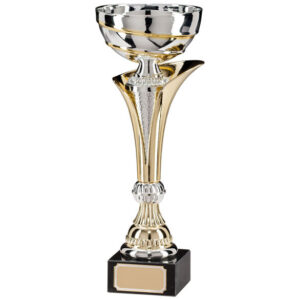 cup trophy
