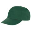 standard cap green