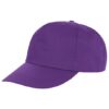 standard cap purple