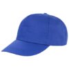 standard cap royal blue